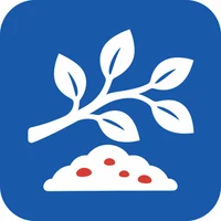 Ветки и земля